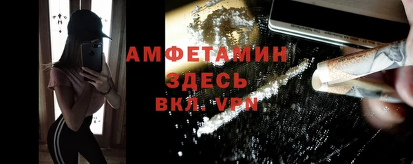 ПСИЛОЦИБИНОВЫЕ ГРИБЫ Арсеньев