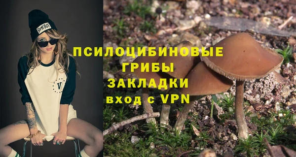бошки Корсаков