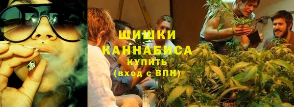 ПСИЛОЦИБИНОВЫЕ ГРИБЫ Арсеньев