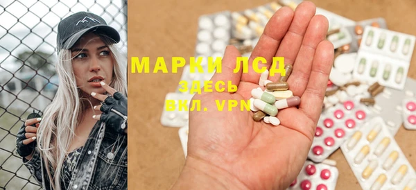 ПСИЛОЦИБИНОВЫЕ ГРИБЫ Арсеньев