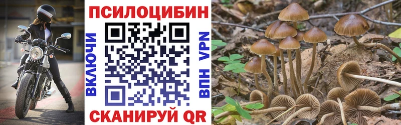 blacksprut   Островной  Псилоцибиновые грибы GOLDEN TEACHER 